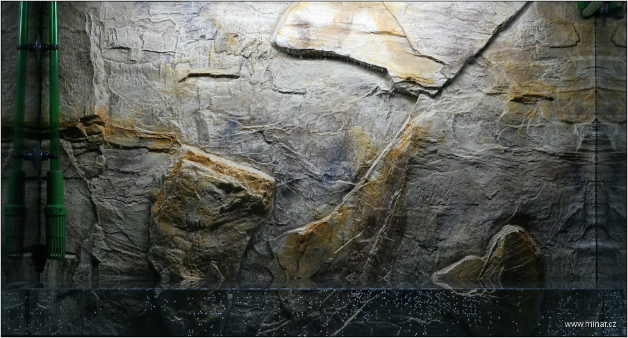 img00001.jpg