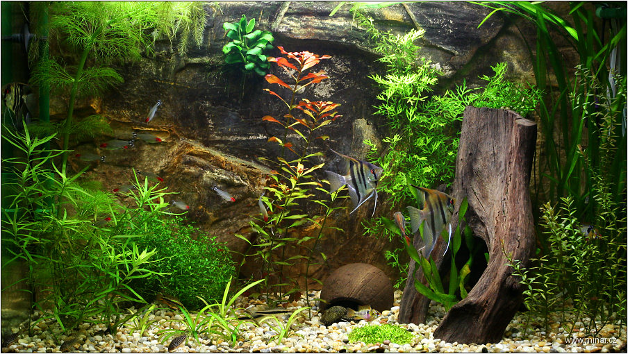img00012.jpg