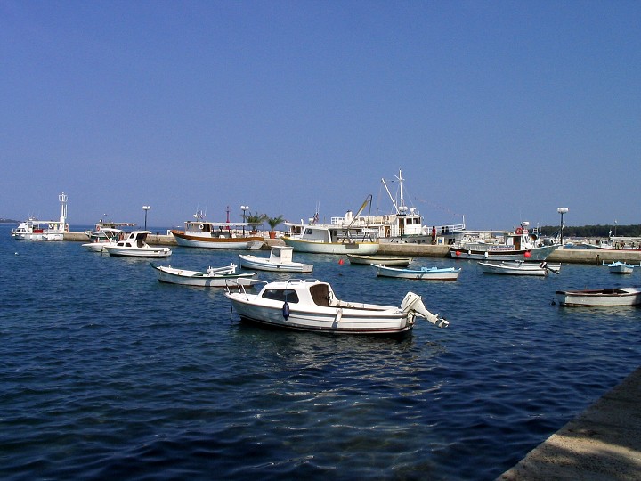 img00019.jpg