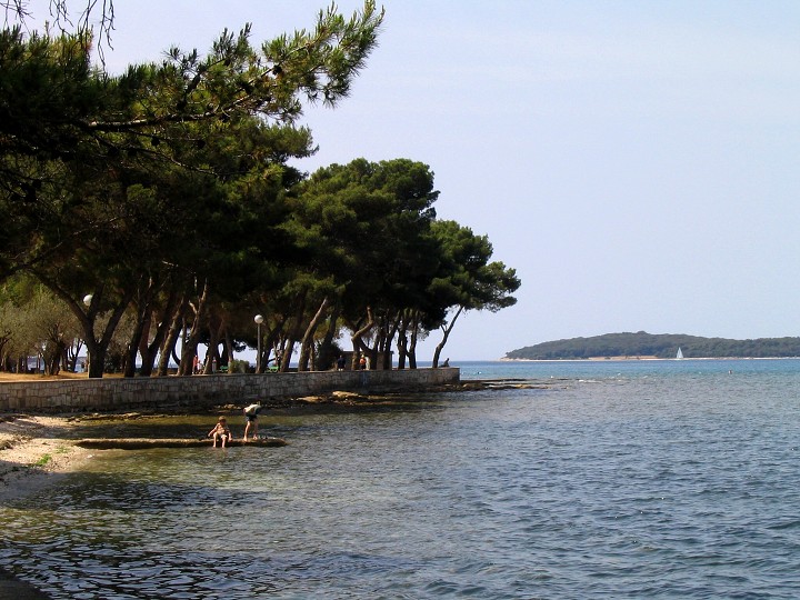 img00021.jpg