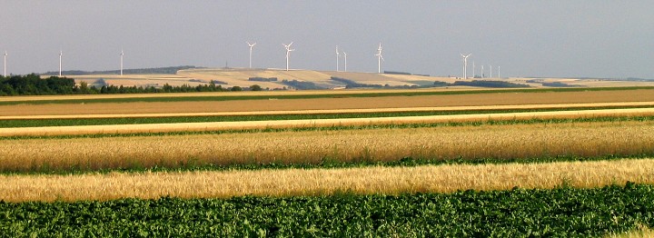 img00025.jpg