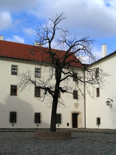 img00003.jpg