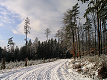 1.1.2004 Tradiční Novoroční výlet