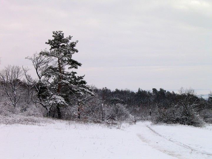 img00001.jpg