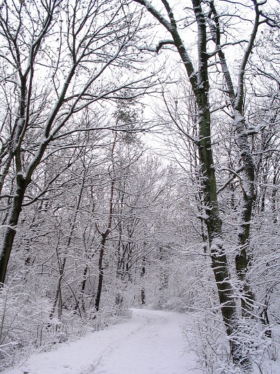 img00002.jpg