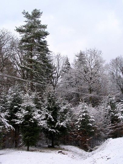 img00004.jpg