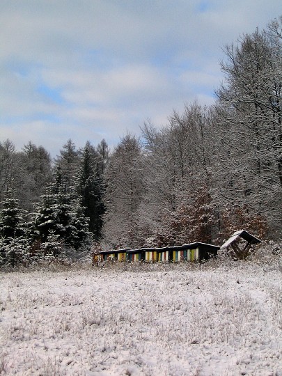 img00006.jpg
