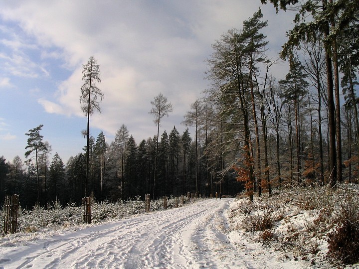 img00007.jpg
