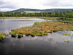 červen 2004 Dovolená - Šumava