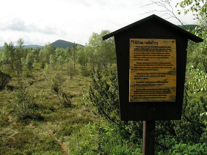 img00001.jpg