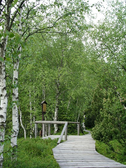 img00002.jpg