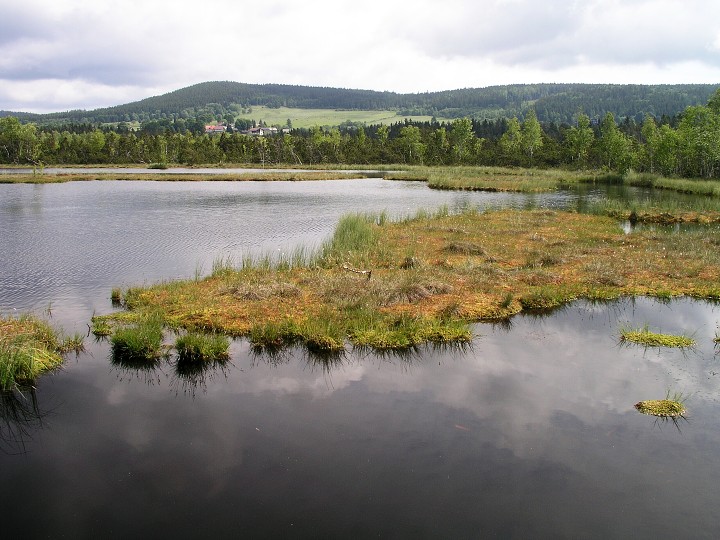 img00003.jpg