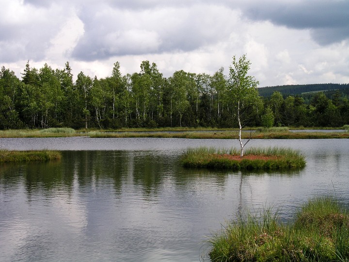 img00004.jpg