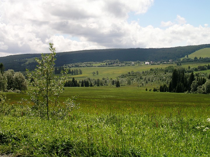 img00006.jpg