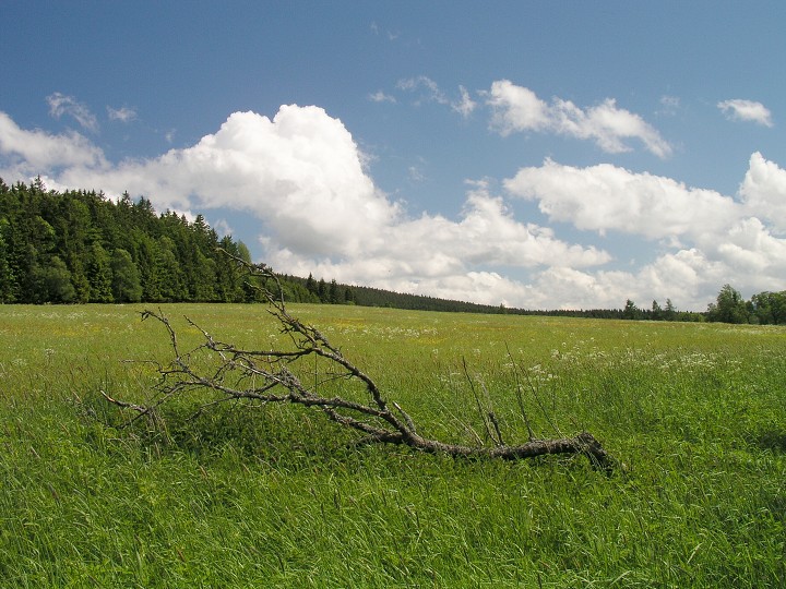 img00007.jpg