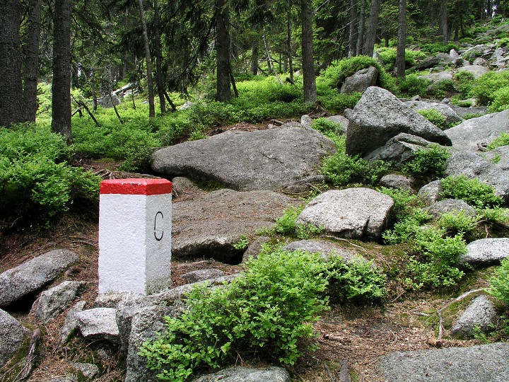 img00011.jpg