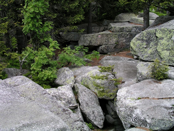 img00012.jpg