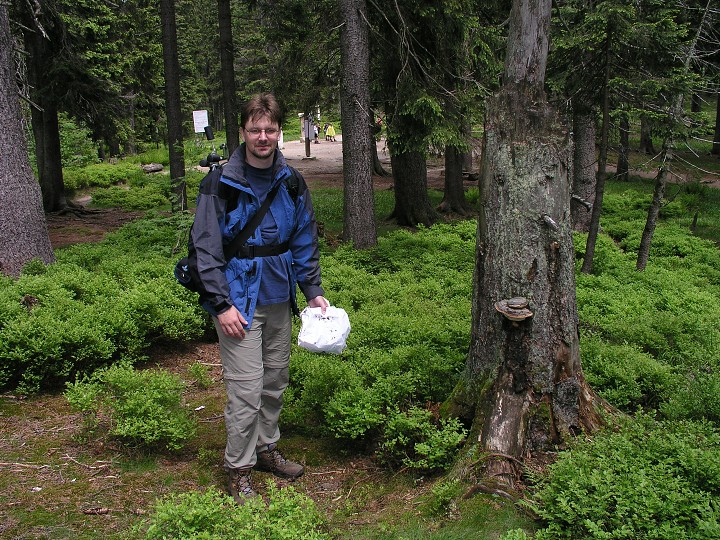 img00013.jpg