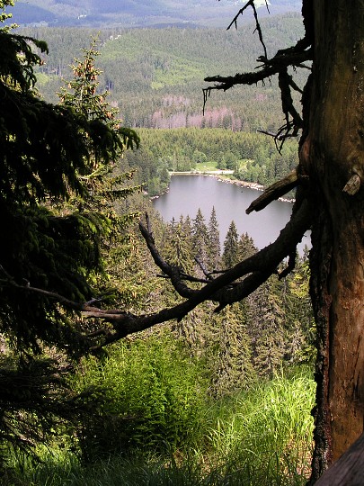 img00016.jpg