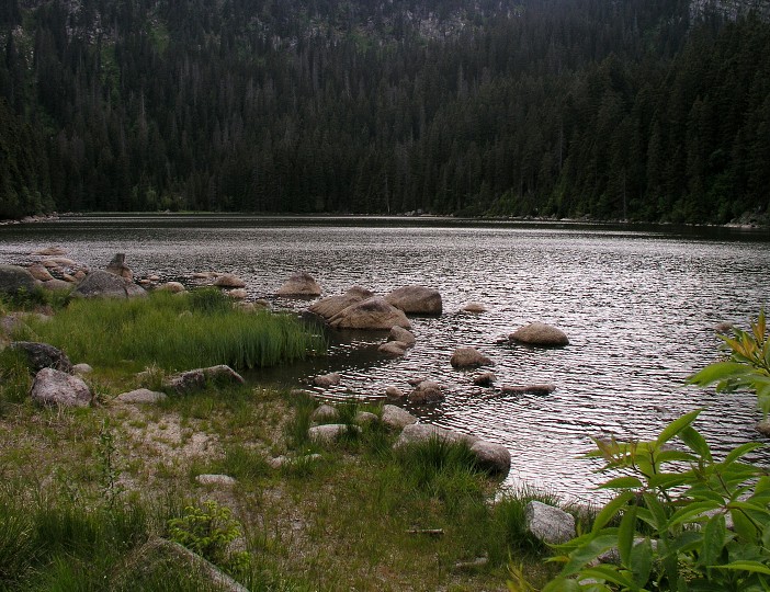 img00017.jpg