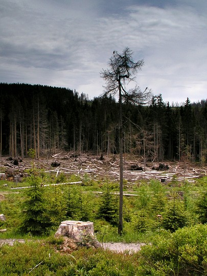 img00019.jpg