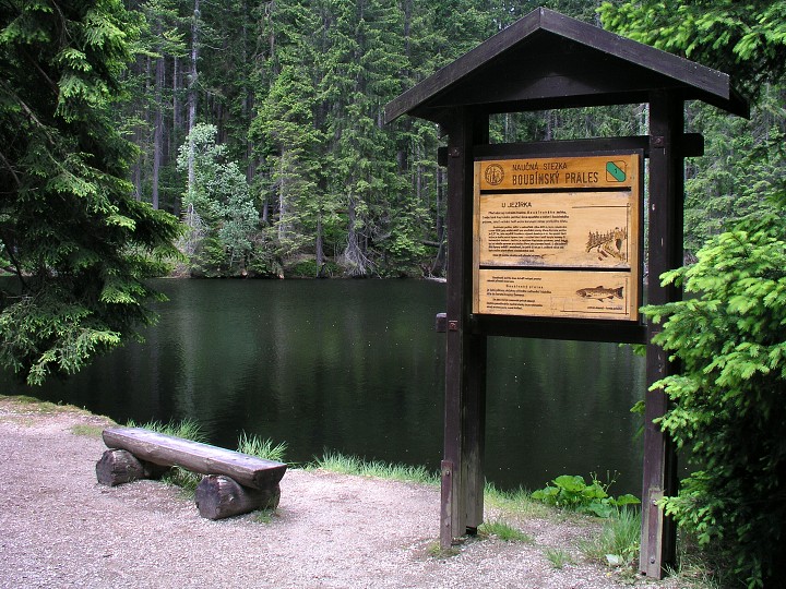 img00020.jpg