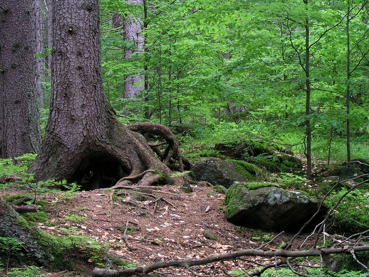 img00021.jpg
