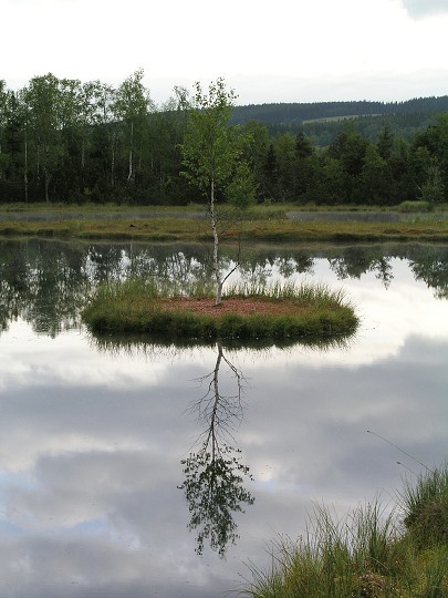 img00026.jpg