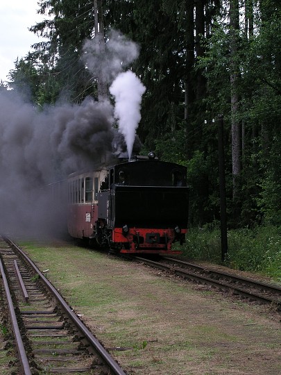 img00003.jpg