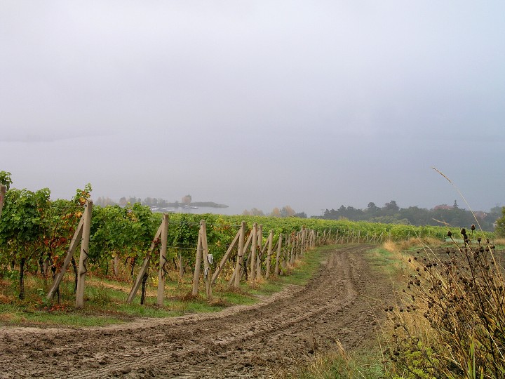 img00001.jpg
