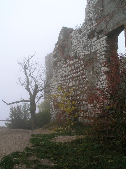 img00002.jpg