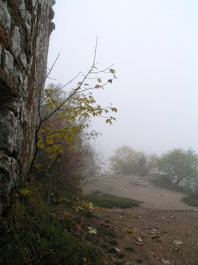 img00003.jpg