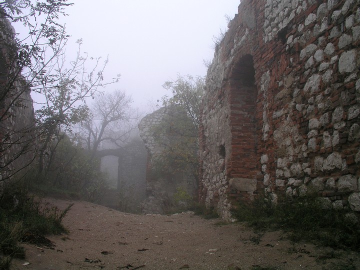 img00004.jpg