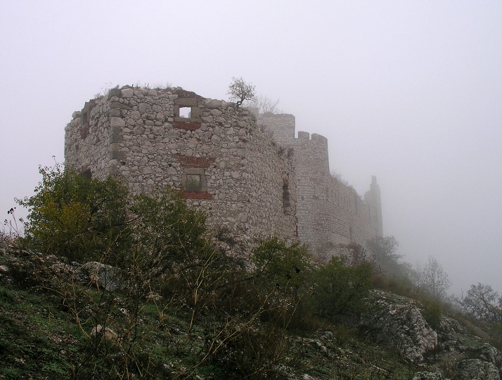 img00005.jpg