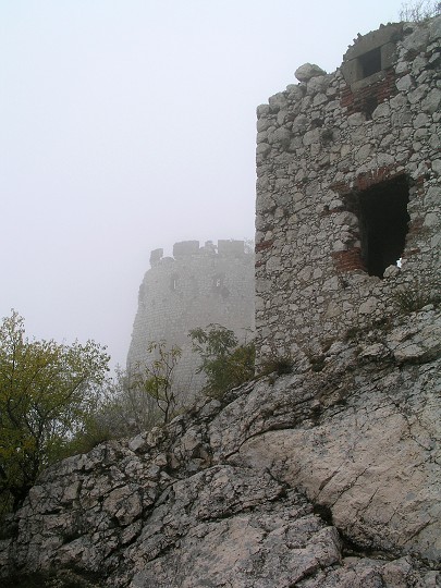 img00006.jpg