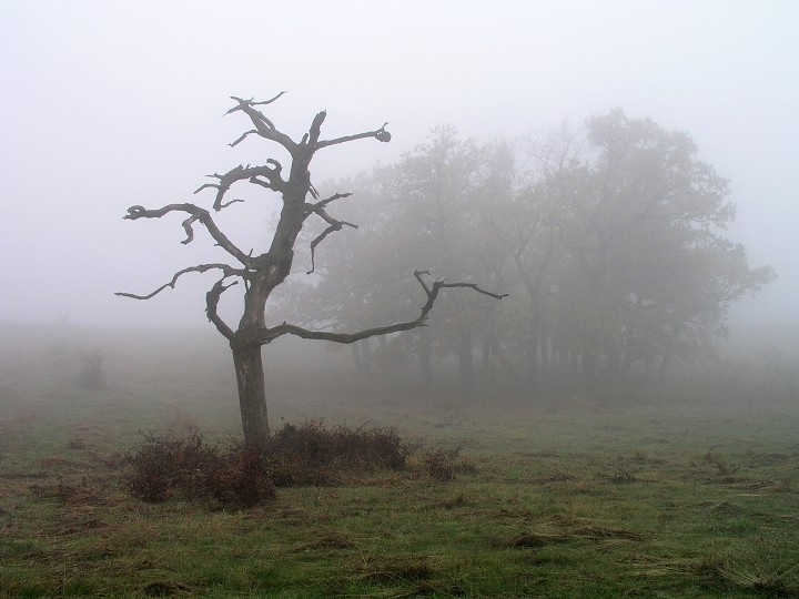 img00007.jpg