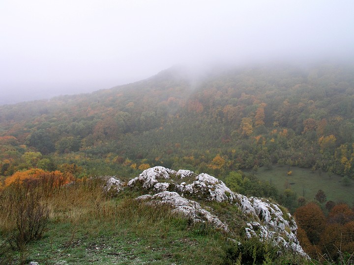 img00009.jpg