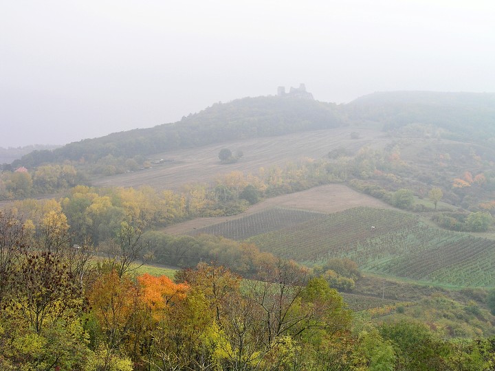 img00012.jpg