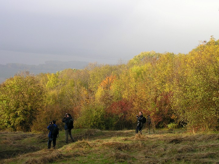 img00013.jpg