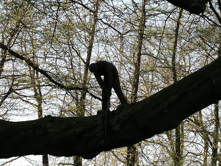 img00003.jpg