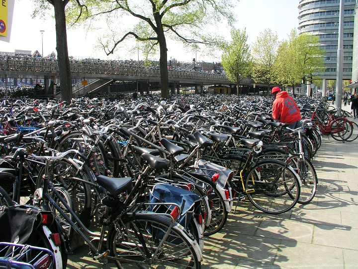 img00036.jpg