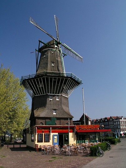 img00037.jpg