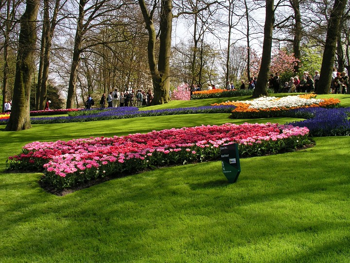 img00002.jpg
