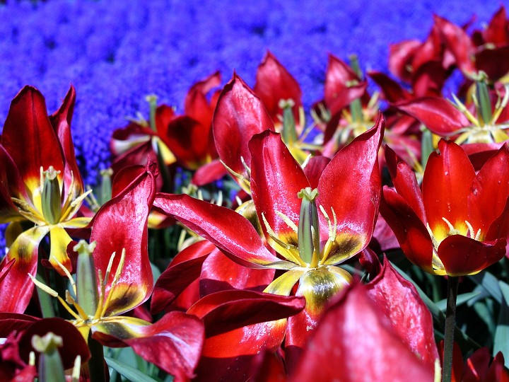 img00012.jpg