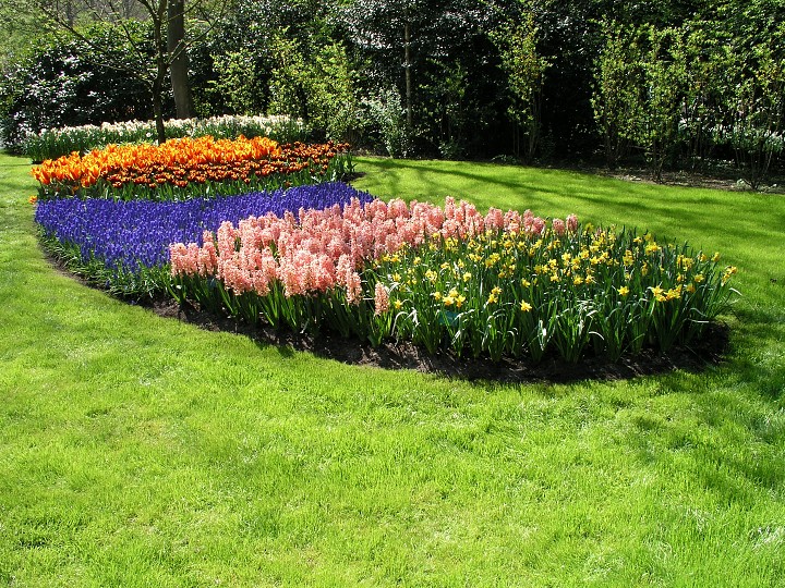 img00014.jpg