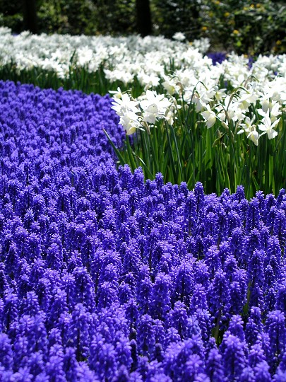 img00015.jpg