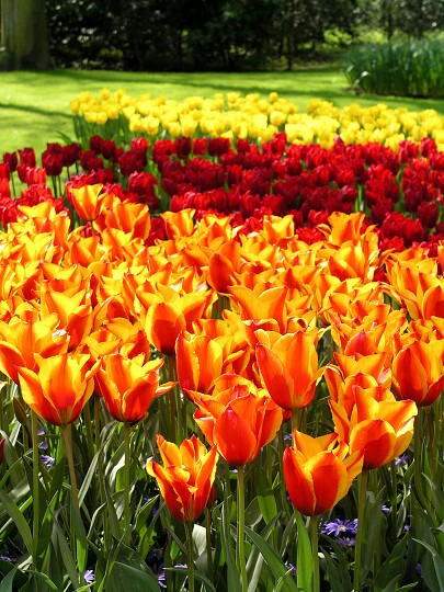 img00016.jpg