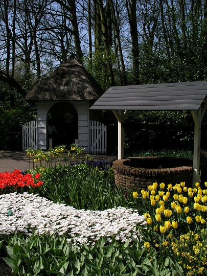 img00017.jpg