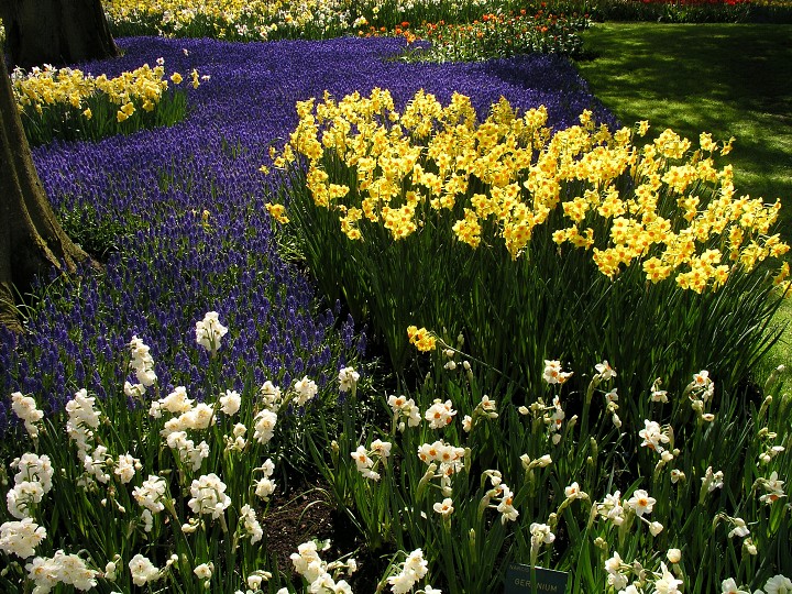 img00018.jpg