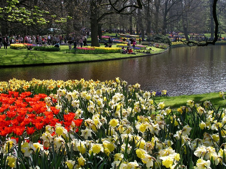 img00020.jpg